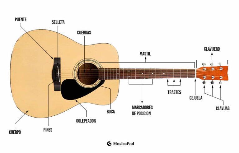 Partes De La Guitarra Ac Stica Gu A Completa Musicapod