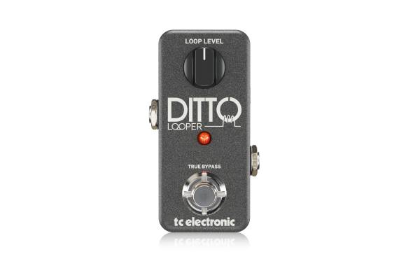 tc electronic ditto looper
